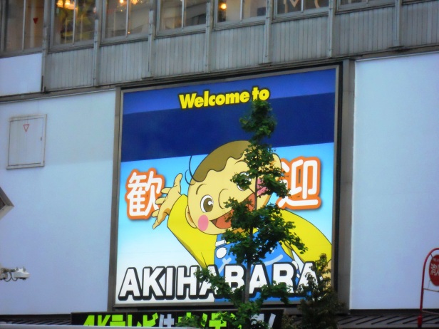 Japon-Tokyo-Akihabara-BlogVoyage (1)